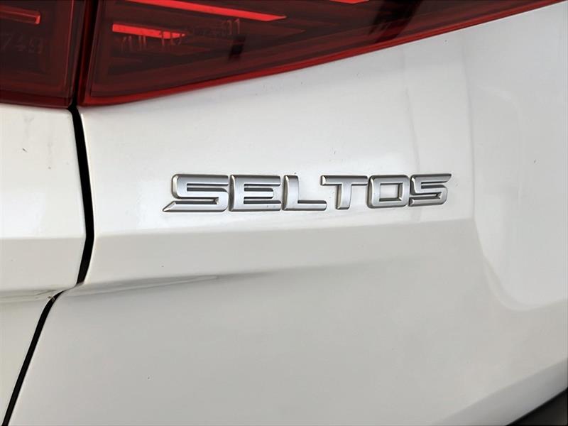 kia Seltos 2023 - 24