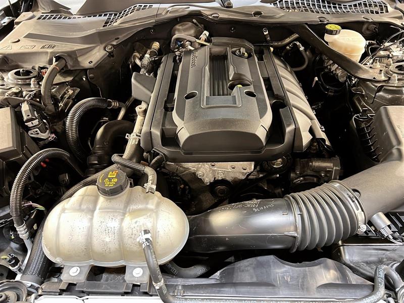 ford Mustang 2020 - 14