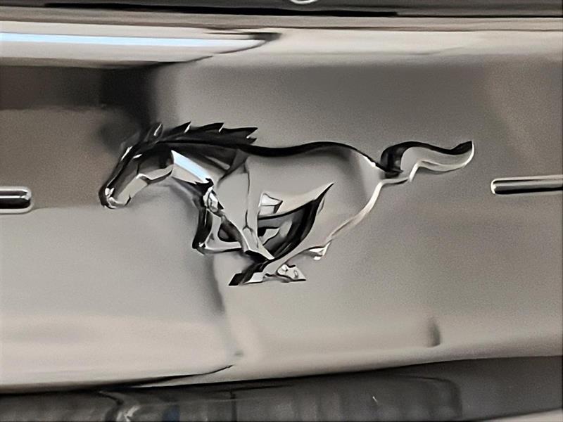 ford Mustang 2020 - 29