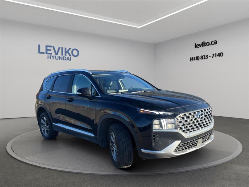 hyundai Santa Fe 2021 - 6