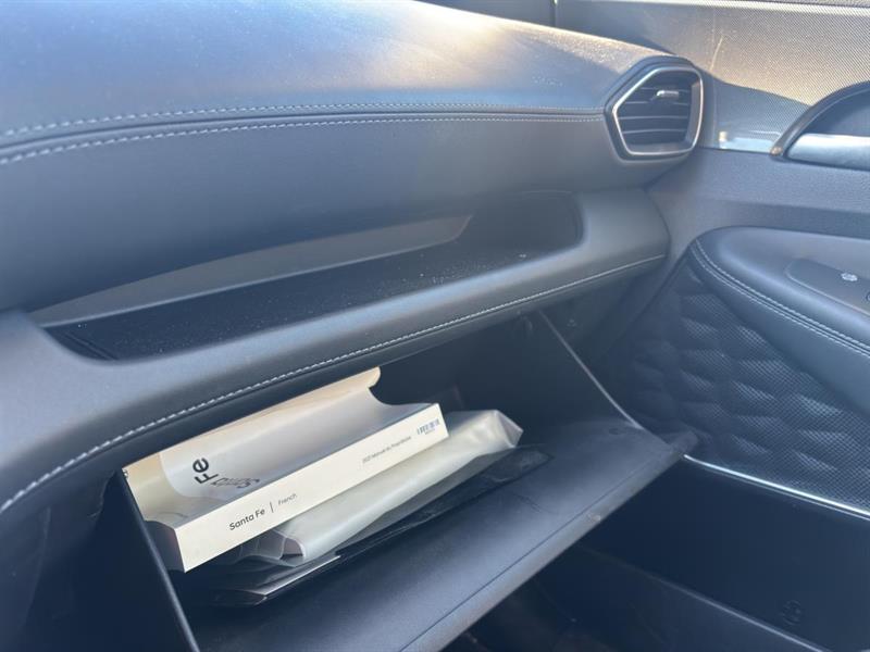 hyundai Santa Fe 2021 - 17