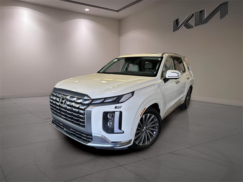 hyundai Palisade 2023 - 1