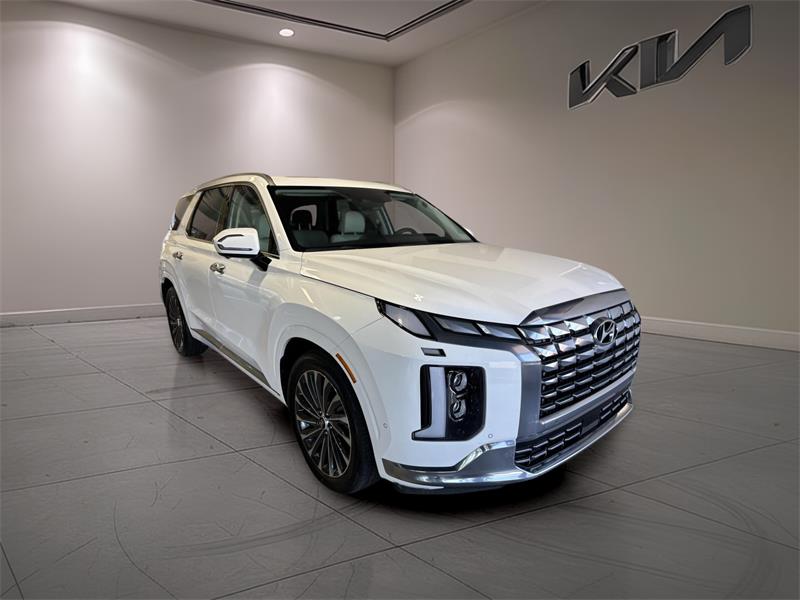 hyundai Palisade 2023 - 6