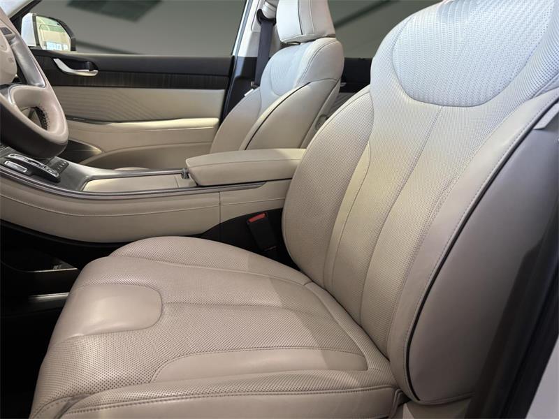 hyundai Palisade 2023 - 8