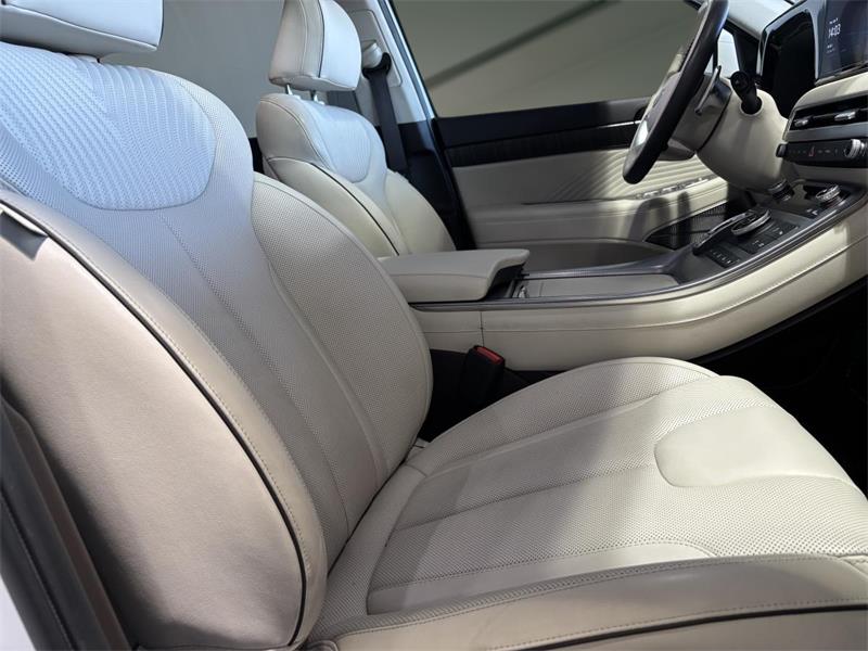 hyundai Palisade 2023 - 9