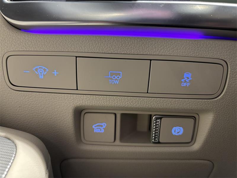 hyundai Palisade 2023 - 17