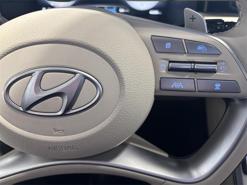 hyundai Palisade 2023 - 19