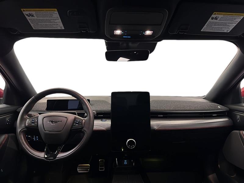 ford Mustang Mach-E 2021 - 14