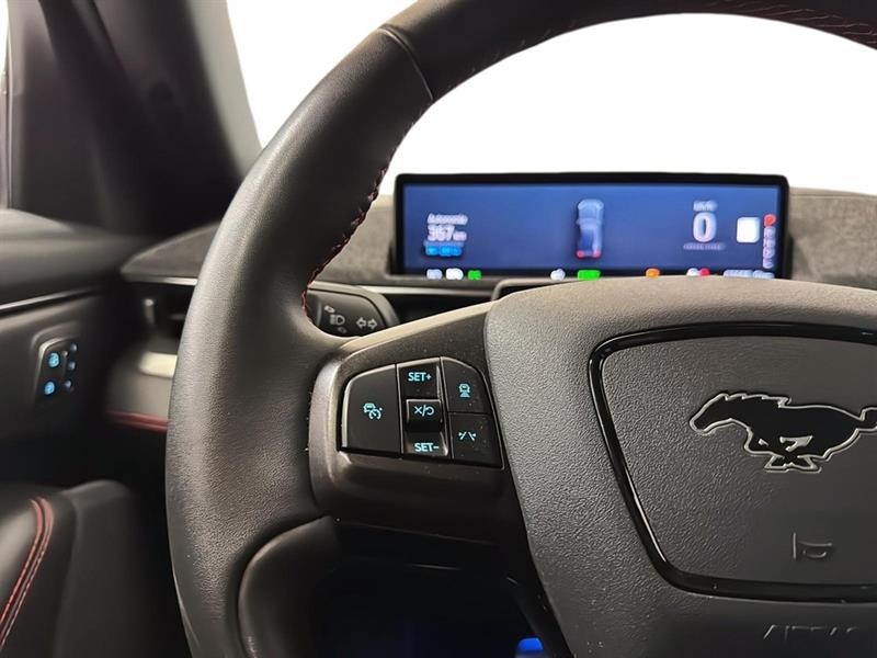 ford Mustang Mach-E 2021 - 18