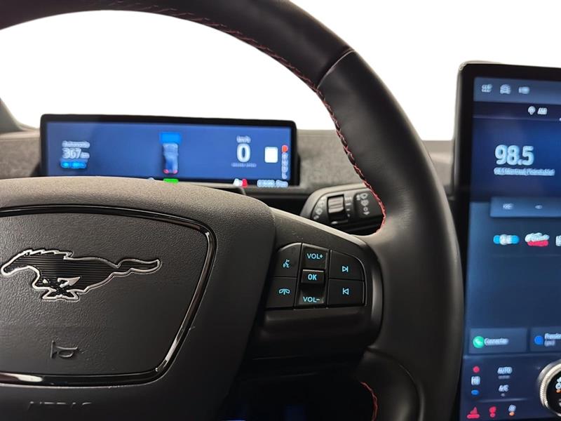 ford Mustang Mach-E 2021 - 19