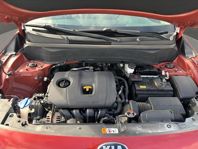 kia Seltos 2021 - 21