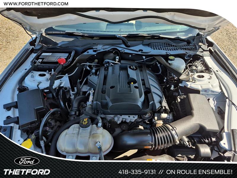 ford Mustang 2017 - 13