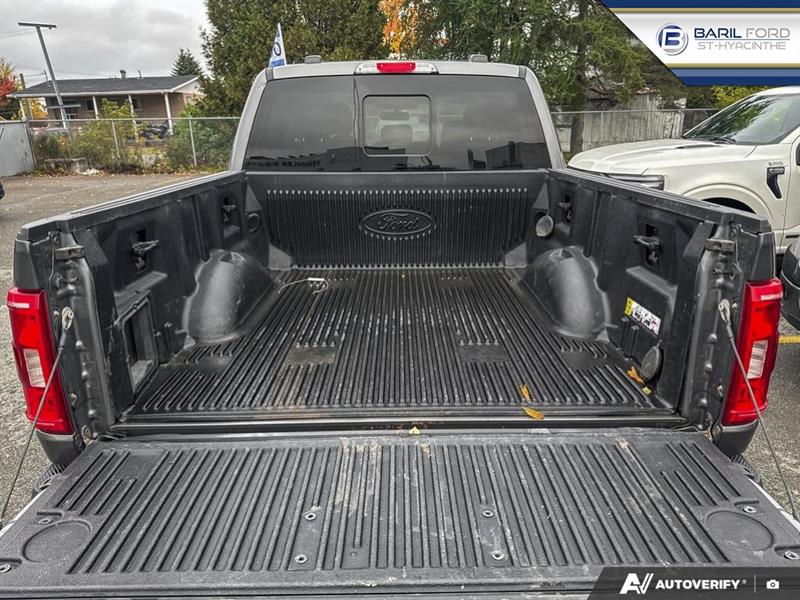 ford F-150 2021 - 12