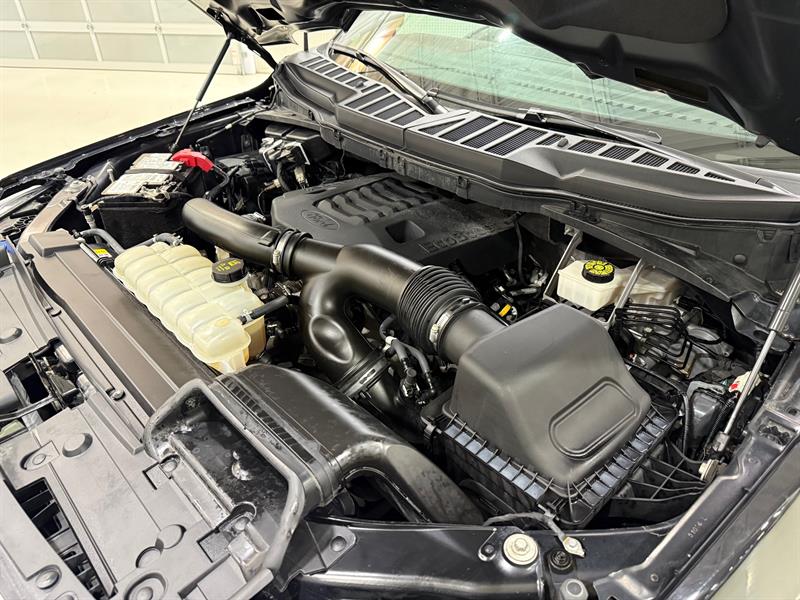 ford F-150 2022 - 31