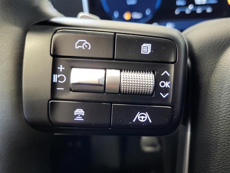 hyundai Santa Fe 2025 - 21