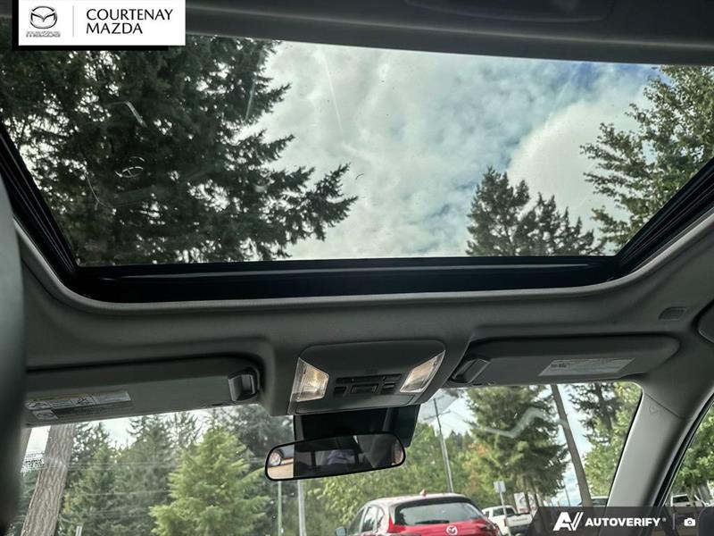 toyota RAV4 2024 - 27