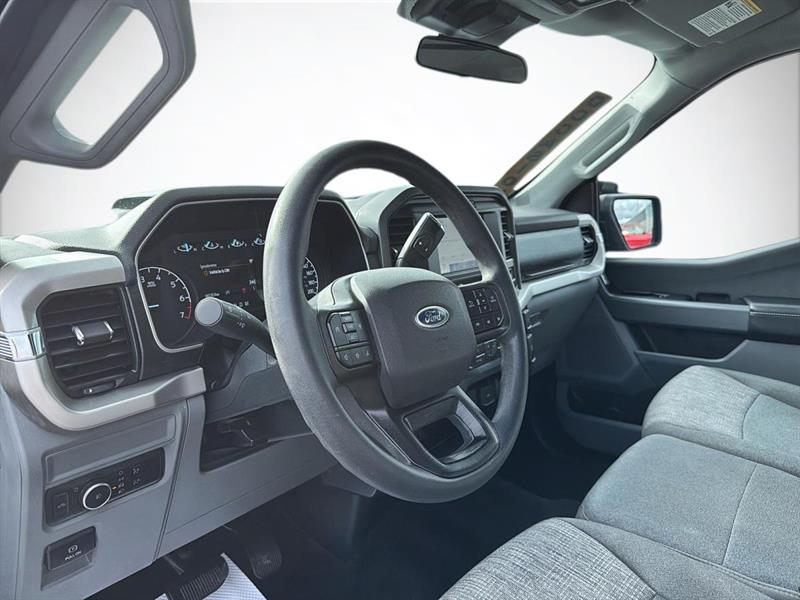 ford F-150 2021 - 11