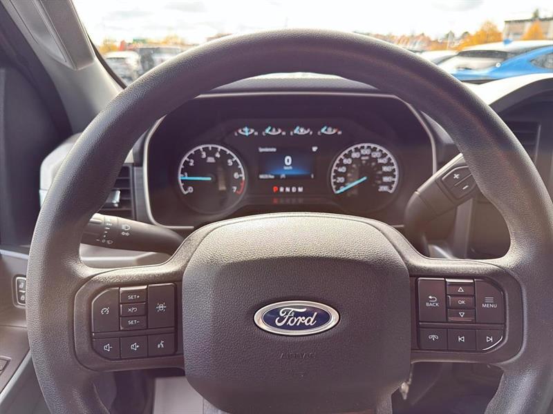 ford F-150 2021 - 13