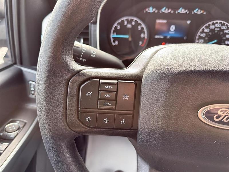 ford F-150 2021 - 15