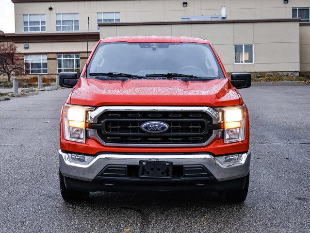 ford F-150 2021 - 3