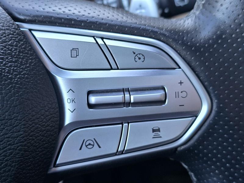 hyundai Santa Fe 2023 - 14