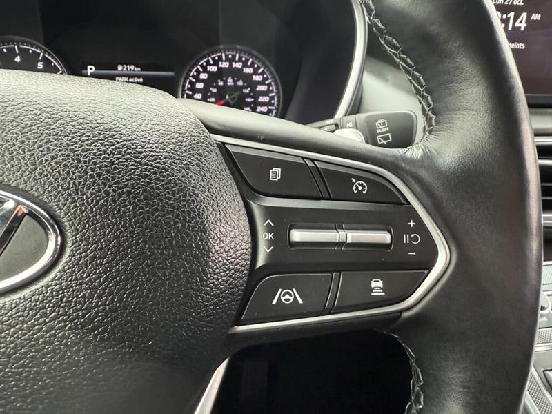 hyundai Santa Fe 2023 - 13