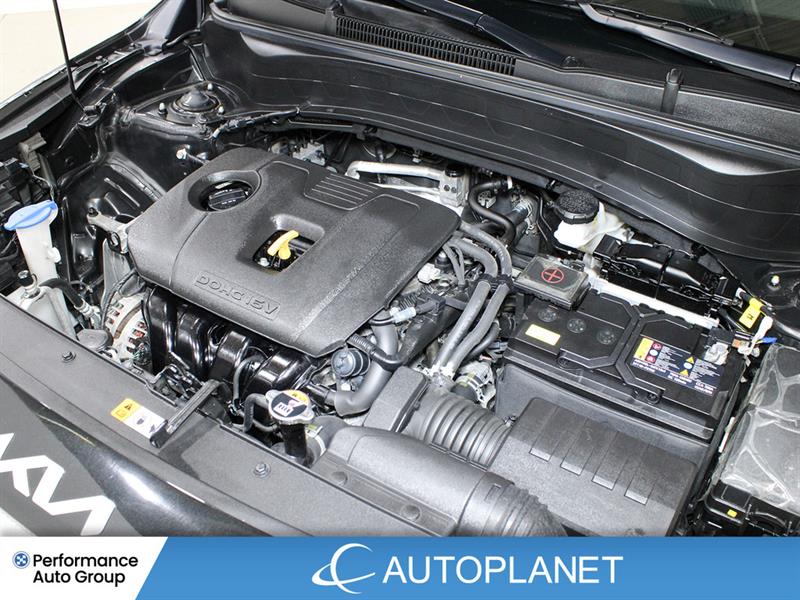 kia Seltos 2025 - 14