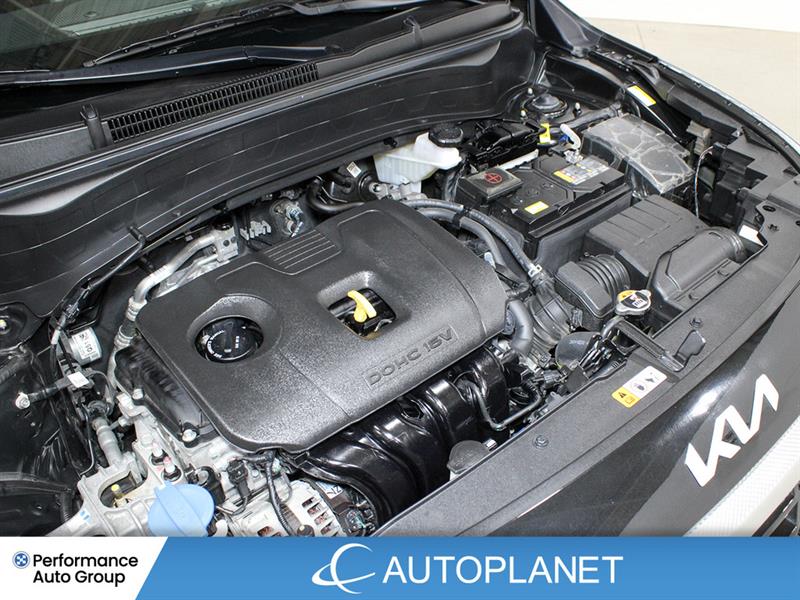 kia Seltos 2025 - 15