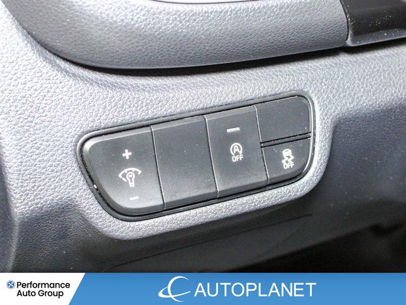 kia Seltos 2025 - 25