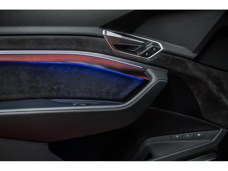 audi e-tron 2019 - 12