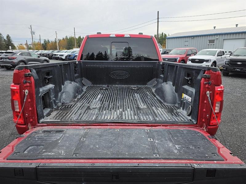 ford F-150 2022 - 10