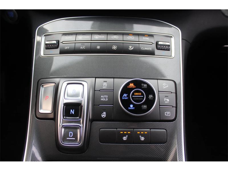 hyundai Santa Fe 2022 - 17