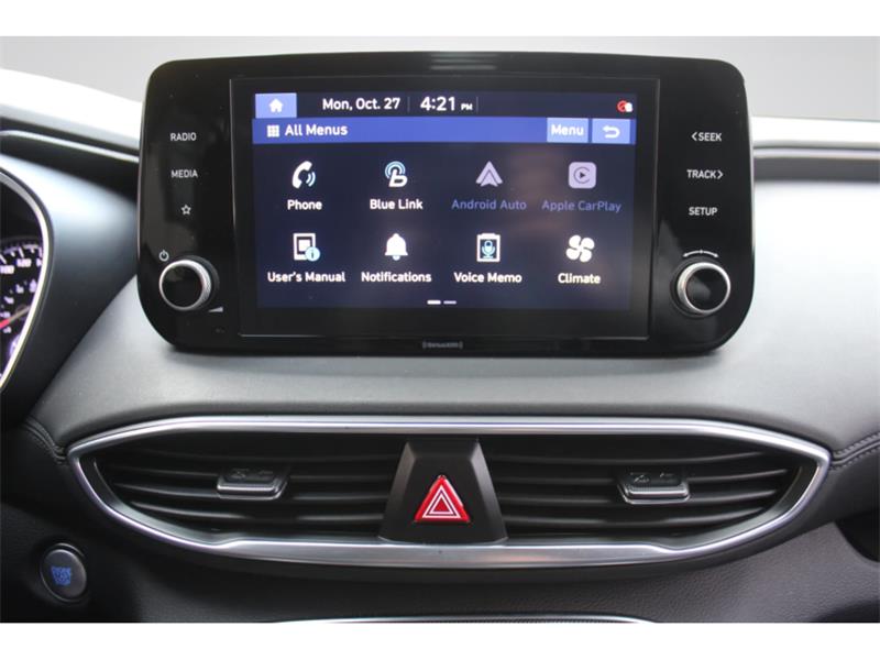 hyundai Santa Fe 2022 - 19