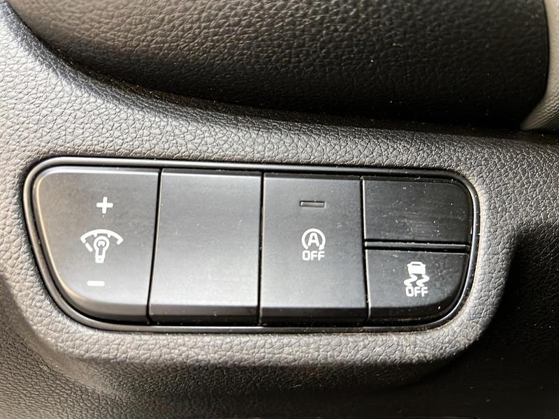 kia Seltos 2022 - 19