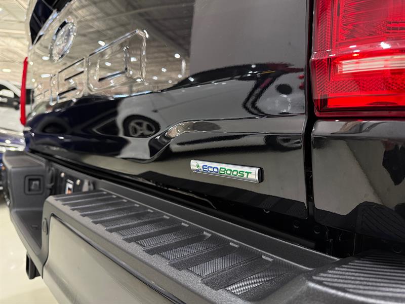 ford F-150 2023 - 13