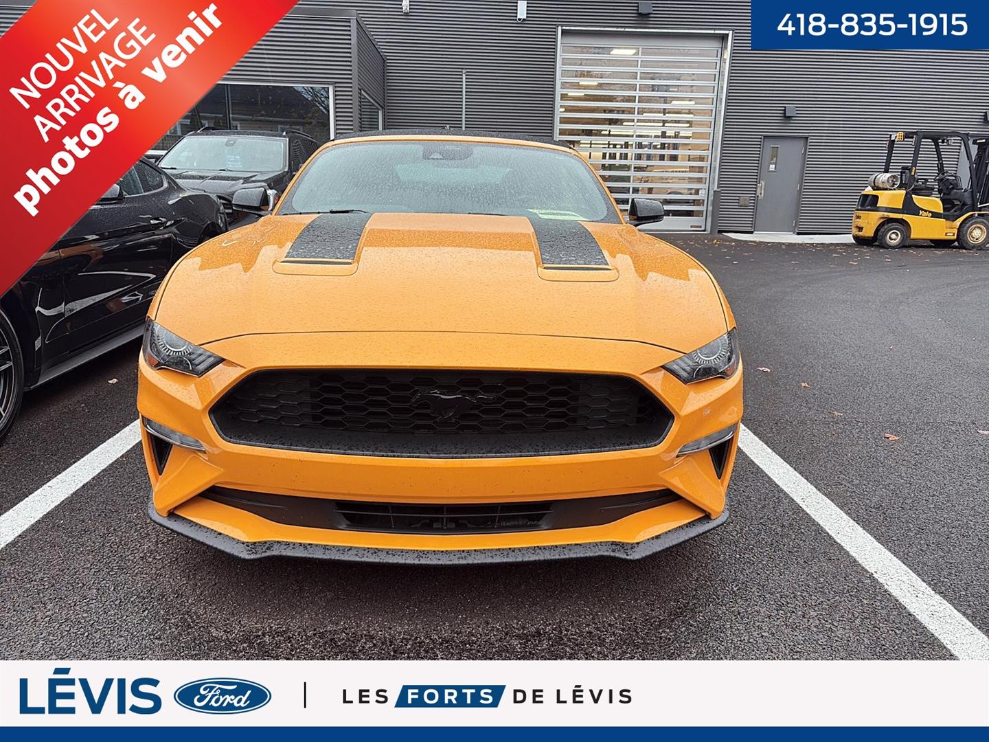 ford Mustang 2022 - 2