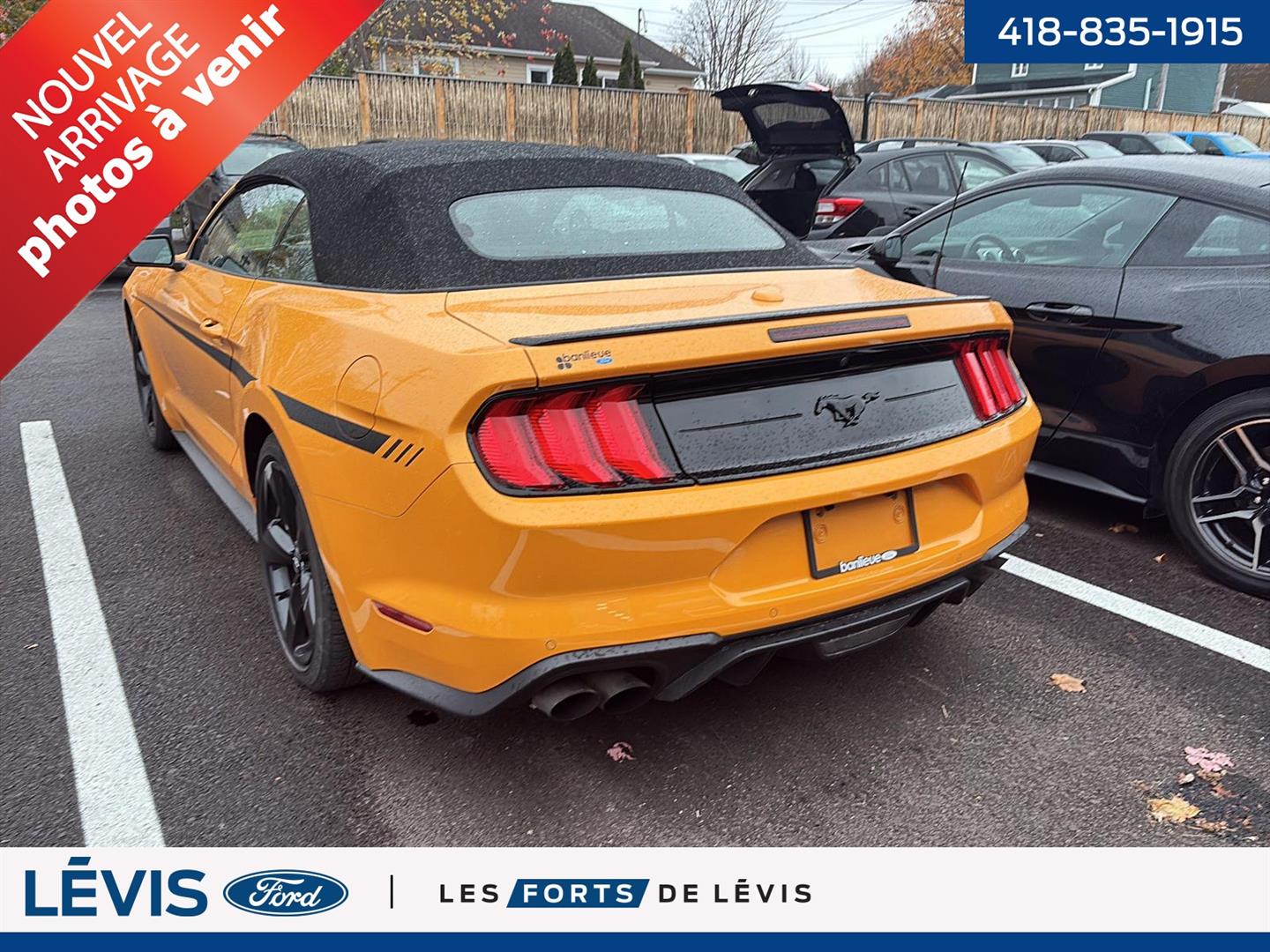 ford Mustang 2022 - 5