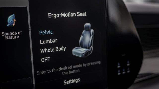 hyundai Palisade 2025 - 29