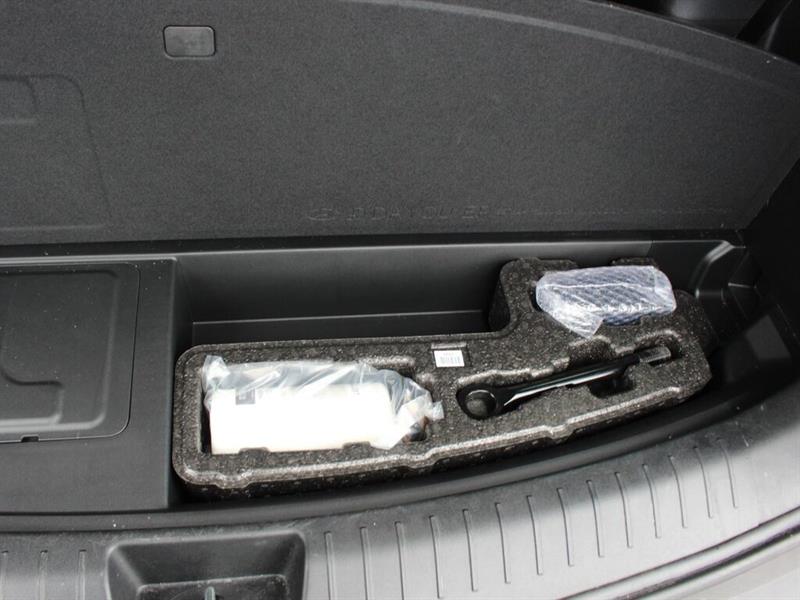 hyundai Santa Fe hybride 2024 - 30