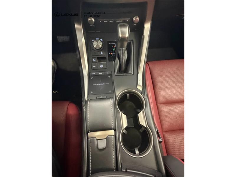 lexus NX 300 2021 - 16