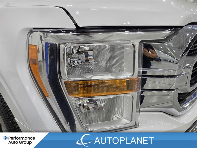 ford F-150 2023 - 11