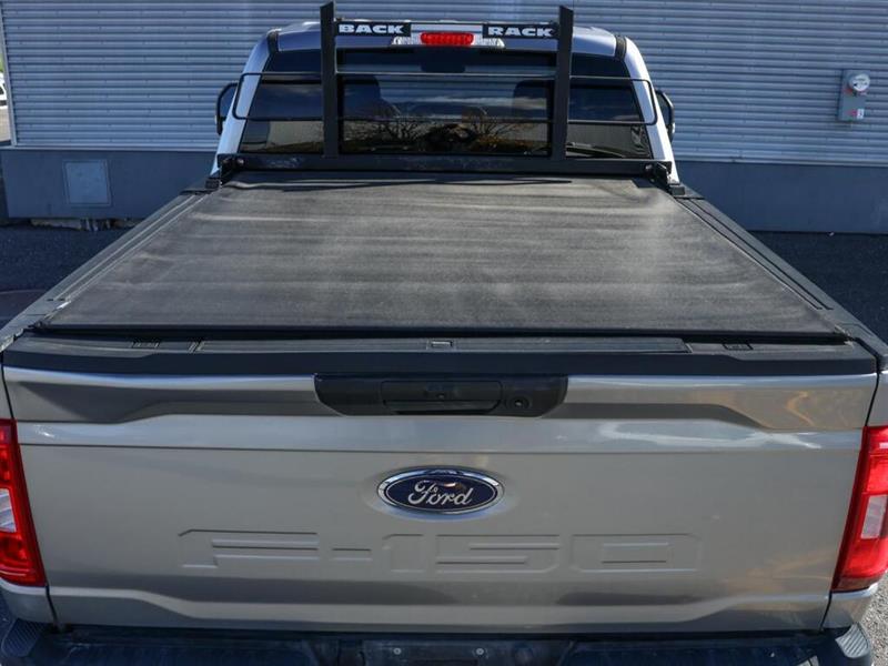 ford F-150 2021 - 10