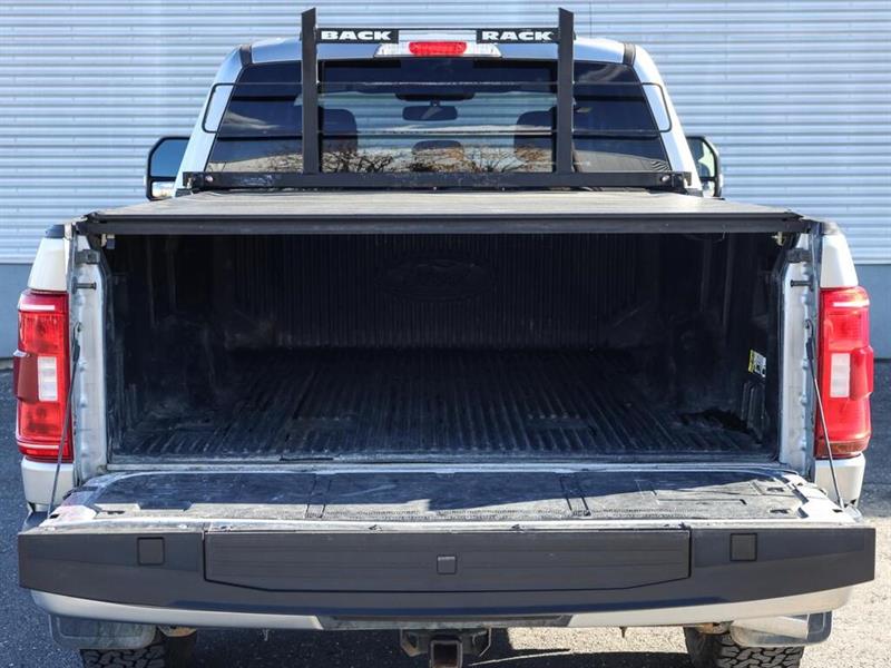 ford F-150 2021 - 14