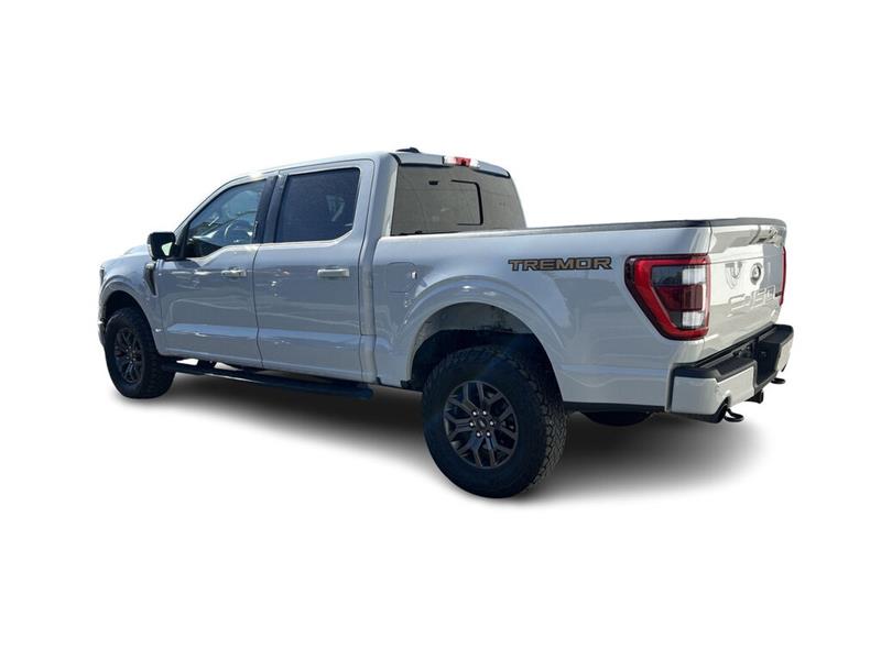ford F-150 2023 - 10