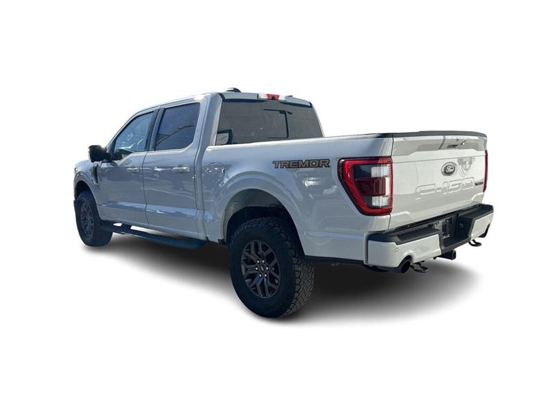 ford F-150 2023 - 11