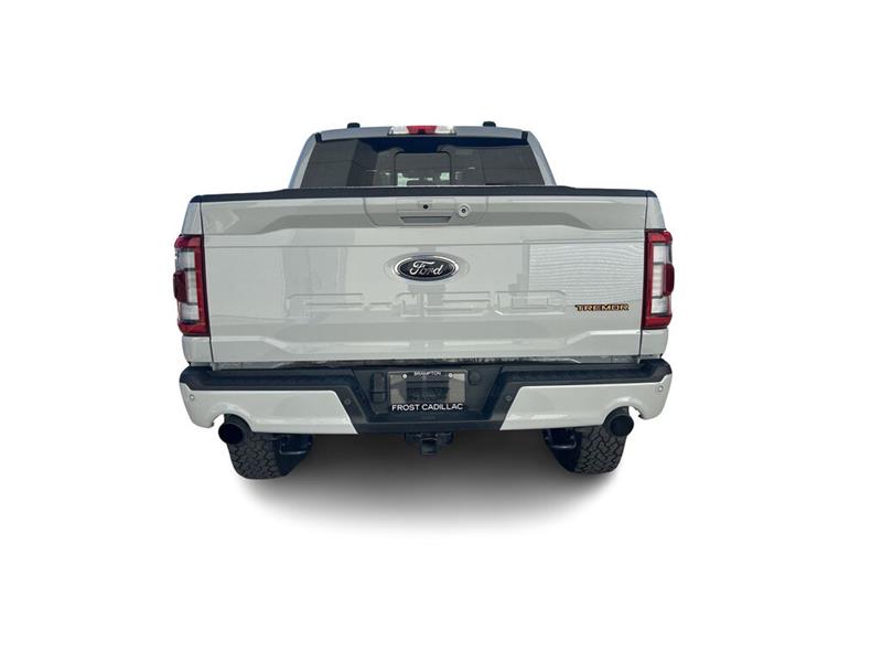 ford F-150 2023 - 12