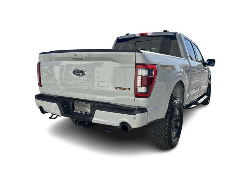 ford F-150 2023 - 13