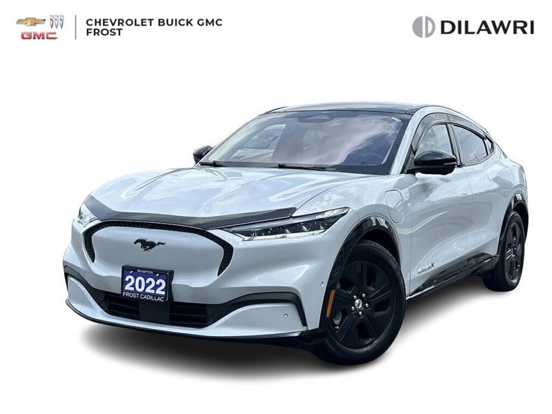 ford Mustang Mach-E 2022 - 1