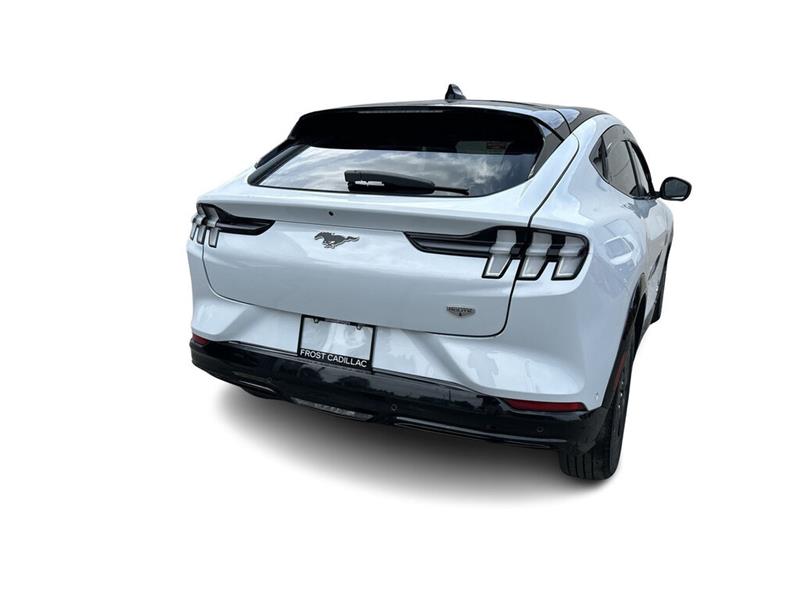 ford Mustang Mach-E 2022 - 13