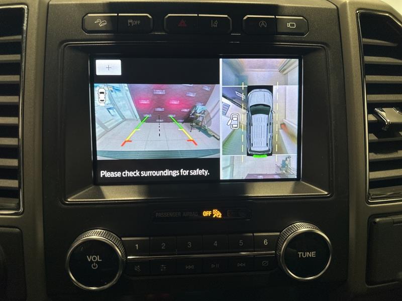 ford Expedition 2020 - 19